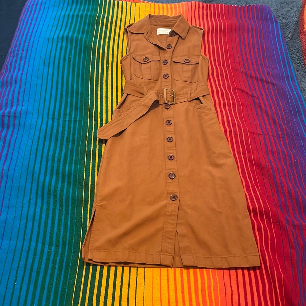 Stylish Brown Sleeveless Button-Down Dress